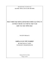 PHÁT TRIỂN HỆ THỐNG KÊNH PHÂN PHỐI TẠI CÔNG TY  CỔ PHẦN THUỐC SÁT TRÙNG VIỆT NAM   KHU VỰC BẮC SÔNG HẬU     