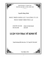 Luận văn thạc sĩ Phát triển nhân lực tại Công ty Cổ phần nhiệt điện Phả Lại