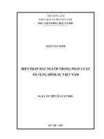 Biện pháp bắt người trong pháp luật tố tụng hình sự Việt Nam (Luận án tiến sĩ)