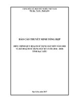 ĐIỀU CHỈNH QUY HOẠCH SỬ DỤNG ĐẤT ĐẾN NĂM 2020 VÀ KẾ HOẠCH SỬ DỤNG ĐẤT KỲ CUỐI (2016 - 2020) TỈNH BẠC LIÊU