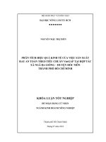 PHÂN TÍCH HIỆU QUẢ KINH TẾ CỦA VIỆC SẢN XUẤT   RAU AN TOÀN THEO TIÊU CHUẨN VietGAP TẠI HỢP TÁC  XÃ NGÃ BA GIỒNG – HUYỆN HÓC MÔN  THÀNH PHỐ HỒ CHÍ MINH    