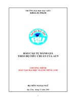 BÁO CÁO TỰ ĐÁNH GIÁ THEO BỘ TIÊU CHUẨN CỦA AUN CHƯƠNG TRÌNH ĐÀO TẠO ĐẠI HỌC NGÀNH TIẾNG ANH