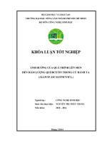 ẢNH HƯỞNG CỦA QUÁ TRÌNH LÊN MEN   ĐẾN HÀM LƯỢNG QUERCETIN TRONG CỦ HÀNH TA    (ALLIUM ASCALONICUM L.)      