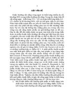 Nghiên cứu đặc điểm thương tổn giải phẫu và kết quat phẫu thuật điều trị gãy cột sống ngực thấp và thắt lưng không vững do chấn thương bằng nẹp vít tt 