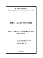 THIẾT KẾ  CHẾ TẠO – KHẢO NGHIỆM MÁY SẤY  TIÊU 2TẤN MẺ   