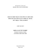 KHẢO SÁT HIỆN TRẠNG CUỘC SỐNG CỦA MỘT CỘNG  ĐỒNG DÂN TỘC K’HO TẠI XÃ N’THÔL HẠ  HUYỆN   ĐỨC TRỌNG  TỈNH LÂM ĐỒNG 