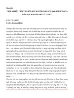 Sáng kiến kinh nghiệm dạy từ vựng tiếng anh tiểu học