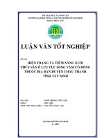 HIEÄN TRAÏNG VAØ TIEÀM NAÊNG NUOÂI THUÛY SAÛN ÔÛ LÖU VÖÏC SOÂNG VAØM COÛ ÑOÂNG THUOÄC ÑÒA BAØN HUYEÄN CHAÂU THAØNH TÆNH TAÂY NINH