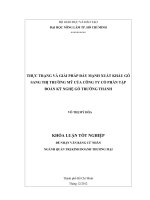 THỰC TRẠNG VÀ GIẢI PHÁP ĐẨY MẠNH XUẤT KHẨU GỖ  SANG THỊ TRƯỜNG MỸ CỦA CÔNG TY CỔ PHẦN TẬP  ĐOÀN KỸ NGHỆ GỖ TRƯỜNG THÀNH 