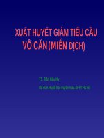 XUẤT HUYẾT GIẢM TIỂU CẦU VÔ CĂN (MIỄN DỊCH)