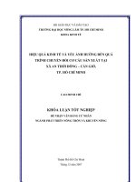  HIỆU QUẢ KINH TẾ VÀ YẾU ẢNH HƯỞNG ĐẾN QUÁ  TRÌNH CHUYỂN ĐỔI CƠ CẤU SẢN XUẤT TẠI   XÃ AN THỚI ĐÔNG – CẦN GIỜ,   TP. HỒ CHÍ MINH  