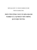 PHÂN TÍCH TÍNH CÁCH VĂN HÓA DOANH NGHIỆP CỦA TẬP ĐOÀN VIỄN THÔNG QUÂN ĐỘI VIETTEL