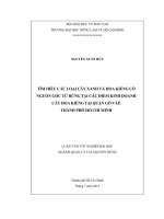 TÌM HIỂU CÁC LOẠI CÂY XANH VÀ HOA KIỂNG CÓ   NGUỒN GỐC TỪ RỪNG TẠI CÁC ĐIỂM KINH DOANH   CÂY HOA KIỂNG TẠI QUẬN GÒ VẤP,   THÀNH PHỐ HỒ CHÍ MINH 