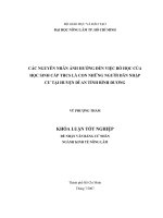   CÁC NGUYÊN NHÂN ẢNH HƯỞNG ĐẾN VIỆC BỎ HỌC CỦA  HỌC SINH CẤP THCS LÀ CON NHỮNG NGƯỜI DÂN NHẬP  CƯ TẠI HUYỆN DĨ AN TỈNH BÌNH DƯƠNG   