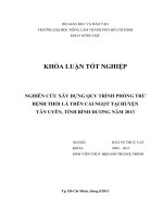 NGHIÊN CỨU XÂY DỰNG QUY TRÌNH PHÒNG TRỪ  BỆNH THỐI LÁ TRÊN CẢI NGỌT TẠI HUYỆN   TÂN UYÊN, TỈNH BÌNH DƢƠNG NĂM 2013   