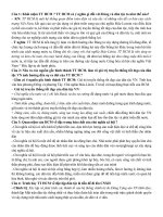 Tổng hợp bài 15 câu thi vấn đáp về tư tưởng Hồ Chí Minh