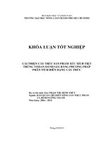     C I THIN CU TRÚC S N PHM XÚC XÍCH TIT  TRÙNG VISSAN ÁNH GIÁ B NG PHƠNG PHÁP  PHÂN TÍCH BIÊN DNG CU TRÚC       