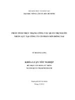 PHÂN TÍCH THỰC TRẠNG CÔNG TÁC QUẢN TRỊ NGUỒN  NHÂN LỰC TẠI CÔNG TY CỔ PHẦN SƠN ĐỒNG NAI   
