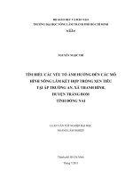 TÌM HIỂU CÁC YẾU TỐ ẢNH HƯỞNG ĐẾN CÁC MÔ  HÌNH NÔNG LÂM KẾT HỢP TRỒNG XEN TIÊU   TẠI ẤP TRƯỜNG AN, XÃ THANH BÌNH,   HUYỆN TRẢNG BOM  TỈNH ĐỒNG NAI 