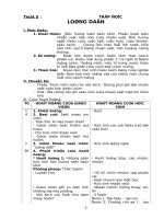 GIÁO ÁN CÁC MÔN HỌC KỲ 2 TUẤN 3.DOC