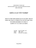KHẢO SÁT BIẾN ĐỘNG BỆNH LEAF SCALD TRÊN  MỘT SỐ  GIỐNG MÍA THÁI LAN TRONGVÙNG NGUYÊN LIỆU CÔNG  TYCỔ PHẦN BOURBON TÂY NINH VÀ   NGHIÊN CỨU TÁC NHÂN GÂY BỆNH   