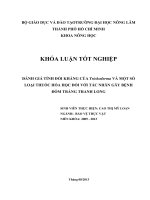ĐÁNH GIÁ TÍNH ĐỐI KHÁNG CỦA Trichoderma VÀ MỘT SỐ  LOẠI THUỐC HÓA HỌC ĐỐI VỚI TÁC NHÂN GÂY BỆNH  ĐỐM TRẮNG THANH LONG 