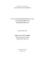 CÁC YẾU TỐ ẢNH HƯỞNG ĐẾN ĐẦU TƯ CỦA   CÁC DOANH NGHIỆP Ở CÁC   TỈNH THÀNH VIỆT NAM 