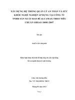 XÂY DỰNG HỆ THỐNG QUẢN LÝ AN TOÀN VÀ SỨC  KHỎE NGHỀ NGHIỆP ÁP DỤNG TẠI CÔNG TY  TNHH SẢN XUẤT BAO BÌ ALCAMAX THEO TIÊU  CHUẨN OHSAS 18001:2007    