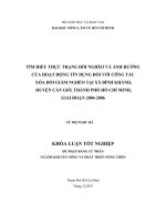 TÌM HIỂU THỰC TRẠNG ĐÓI NGHÈO VÀ ẢNH HƯỞNG  CỦA HOẠT ĐỘNG TÍN DỤNG ĐỐI VỚI CÔNG TÁC   XÓA ĐÓI GIẢM NGHÈO TẠI XÃ BÌNH KHÁNH,   HUYỆN CẦN GIỜ, THÀNH PHỐ HỒ CHÍ MINH,  GIAI ĐOẠN 20042006 