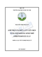 Góp phần nghiên cứu lên men tổng hợp kháng sinh nhờ streptomyces 52 13 