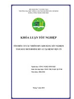 TÌM HIỂU CƠ CẤU NHIỄM HIVAIDS BẰNG XÉT NGHIỆM  TẦM SOÁT DETERMINE HIV12 TẠI BỆNH VIỆN 175   