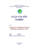NGHIÊN CỨU CHẾ BIẾN SẢN PHẨM JAMBON TỪ CÁ ĐÙ