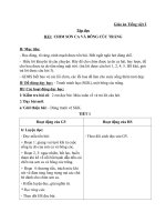 Giáo án Tiếng Việt 2 tuần 21 bài: Tập đọc  Chim sơn ca và bông cúc trắng