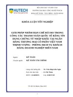 Giải pháp nhằm hạn chế rủi ro trong công tác thanh toán quốc tế bằng tín dụng chứng từ nhập khẩu tại ngân hàng việt nam thịnh vượng 