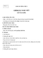 Giáo án Tiếng Việt 2 tuần 22 bài: Chính tả (Nghe  viết): Cò và Cuốc. Phân biệt RDGI, dấu hỏidấu ngã