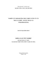     NGHIÊN CỨU ĐỊNH HƯỚNG PHÁT TRIỂN VƯỜN CÂY ĂN  TRÁI LÁI THIÊU  HUYỆN THUẬN AN    TỈNH BÌNH DƯƠNG     