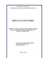 NGHIÊN CỨU KHẢ NĂNG HẤP THỤ ARSENIC TRÊN BỀ  MẶT VẬT LIỆU ĐƯỢC HOẠT HÓA BỞI Fe 2+ Fe 3+    ĐỂ XỬ LÝ NƯỚC UỐNG.   
