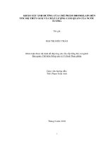 KHẢO SÁT ẢNH HUỞNG CỦA CHẾ PHẨM BROMELAIN ÐẾN  TỐC ÐỘ THỦY GIẢI VÀ CHẤT LUỢNG CẢM QUAN CỦA NUỚC  TƯƠNG   