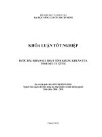 BƯỚC ĐẦU KHẢO SÁT HOẠT TÍNH KHÁNG KHUẨN CỦA  TINH DẦU CỦ GỪNG 
