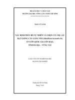 XÁC ĐỊNH PHÂN BỐ TỰ NHIÊN VÀ CHỌN CÂY MẸ LẤY  HẠT GIỐNG CÂY GĂNG NÉO (Manilkara hexandra D.)  Ở VƯỜN QUỐC GIA CÔN ĐẢO,  TỈNH BÀ RỊA – VŨNG TÀU   