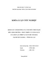 KHẢO SÁT ẢNH HƯỞNG CỦA NĂM MỨC PHÂN ĐẠM   ĐẾN SINH TRƯỞNG  PHÁT TRIỂN VÀ NĂNG SUẤT  CỦA BẮP LAI CP888 VỤ XUÂN HÈ NĂM 2012  TẠI HUYỆN IAGRAI – TỈNH GIA LAI 