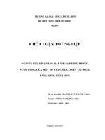   NGHIÊN CỨU KHẢ NĂNG HẤP THU ARSENIC TRONG  NƯỚC UỐNG CỦA MỘT SỐ VẬT LIỆU CÓ SẴN TẠI ĐỒNG  BẰNG SÔNG CỬU LONG 