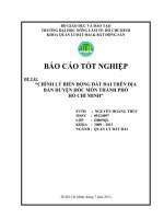 “CHỈNH LÝ BIẾN ĐỘNG ĐẤT ĐAI TRÊN ĐỊA  BÀN HUYỆN HÓC MÔN THÀNH PHỐ  HỒ CHÍ MINH” 