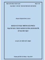 Khảo sát đặc điểm giải phẫu mạch máu thần kinh xương hàm dưới ở người Việt (Luận án tiến sĩ)