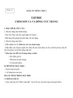 Giáo án Tiếng Việt 2 tuần 21 bài: Tập đọc  Chim sơn ca và bông cúc trắng