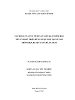 TÁC ĐỘNG CỦA YẾU TỐ DÂN CƯ ĐẾN QUÁ TRÌNH BẢO  TỒN VÀ PHÁT TRIỂN RỪNG NGẬP MẶN TẠI XÃ TAM  THÔN HIỆP, HUYỆN CẦN GIỜ, TP. HCM 