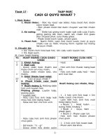 GIÁO ÁN CÁC MÔN HỌC KỲ 2 TUẤN 9.DOC