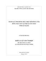 ĐÁNH GIÁ TÌNH HÌNH THỰC HIỆN MÔ HÌNH CÁNH  ĐỒNG MẪU LỚN TẠI THỊ XÃ TÂN CHÂU   TỈNH AN GIANG 