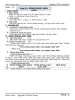 GIÁO ÁN TIN HỌC LỚP 6-TIẾT 51 (TUẦN 24).