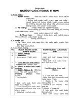 GIÁO ÁN CÁC MÔN HỌC KỲ 2 TUẤN 13.DOC